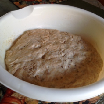 Wheat and Flax Dough: Before rising