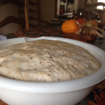 Wheat and Flax Dough: After rising for one hour